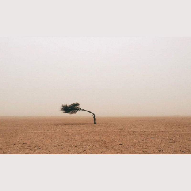 Deneme ilandır bu - Görsel 1